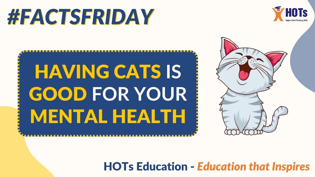 Is Owning a Cat Good for Your Health?