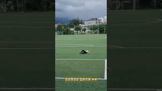 체육교사가 꿈인 아이 #체육교사 #핸드스프링