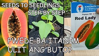 PAPAYA FARMING | SEEDS TO SEEDLINGS PREPARATION STEP BY STEP