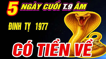 Trời định Tuổi ĐINH TỴ 1977 TRÚNG SỐ ĐỘC ĐẮC TIỀN VỀ NHƯ LŨ đúng 5 ngày cuối củng Tháng 9 âm 2025