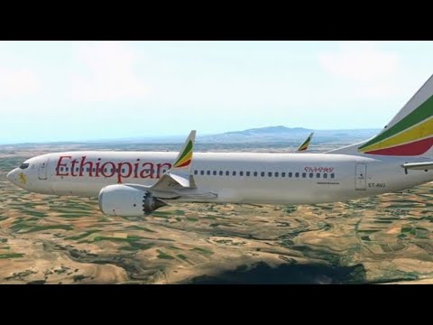 El Vuelo 302