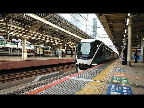 サフィール踊り子2号東京駅入線