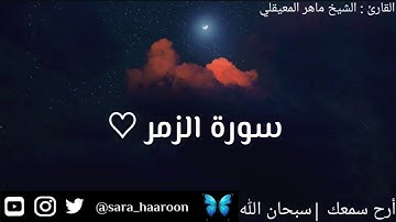 سورة الزمر بصوت الشيخ ماهر المعيقلي