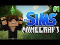 The Sims in Minecraft!! (Sim Kraft) Ep.1