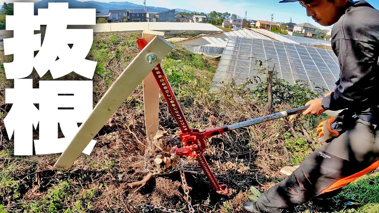 ハイリフトジャッキで抜根する - YouTube