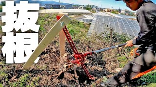 ハイリフトジャッキで抜根する