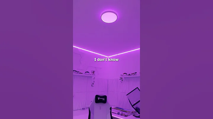 This govee ceiling light is amazing