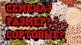 Размер семян имеет значение? Сортовые семена!
