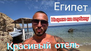 Египет 🇪🇬  Упали очки на дно Sharm Club Beach Resort 4* Хадаба  Подводный мир / Сервис / Выводы