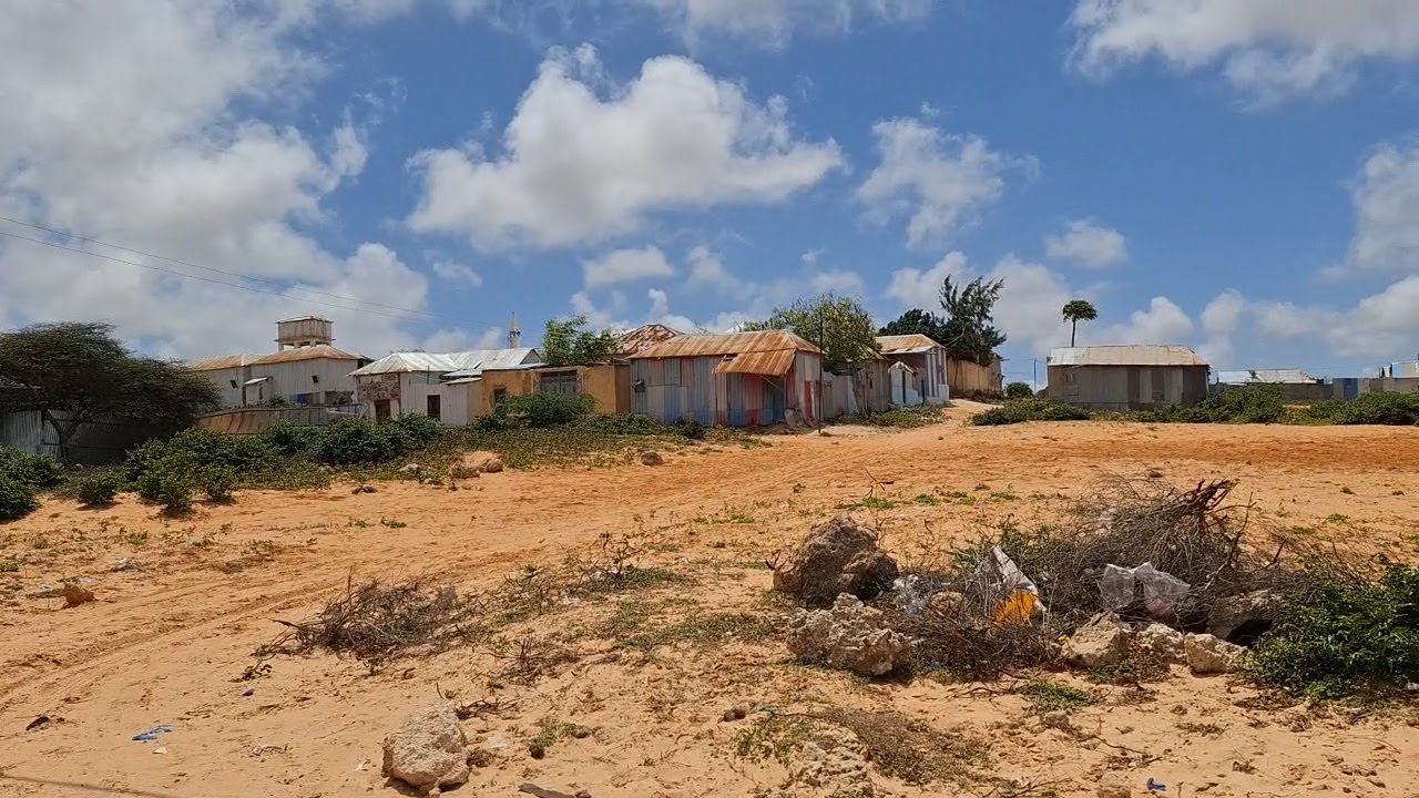 WALAHI BOSAS MARKI HORE QALI AH OO HADA LA IIB SANKARO IYO DHULKO DEGAN AH