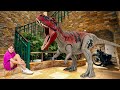 Dinosaurs are EVERYWHERE: Suitcase Hide and Seek Challenge &amp; More Kids Stories