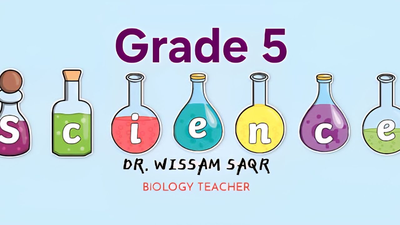 Primary 5 Science 2nd term unit 3 concept 2 lesson 4