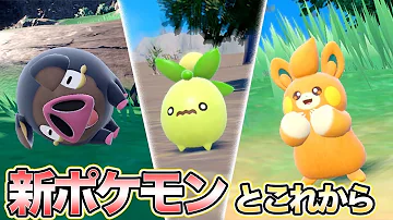ポケモン剣縦新ポケモン ポケモン剣縦新ポケモン