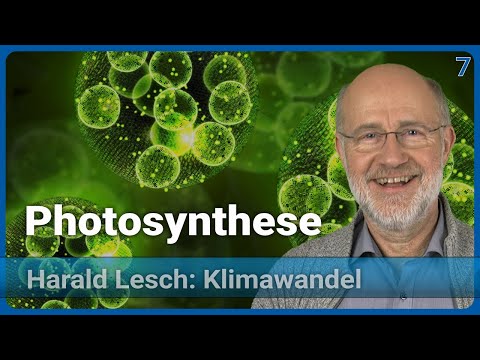 Video: Wie haben photosynthetische Prokaryonten die Atmosphäre der Erde verändert?