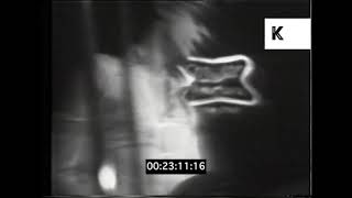 1975 The Heartbreakers Performing "Blank Generation" at CBGB, New York | Premium Footage