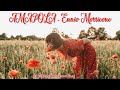 AMAPOLA - Ennio Morricone
