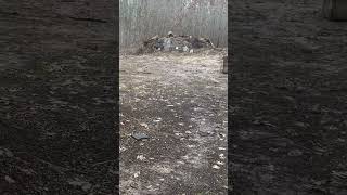 Putting In That Work