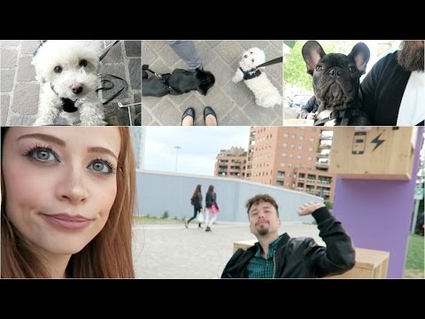 UN NUOVO CANE, UNA NUOVA MACCHINA E UN APERITIVO CON GOOGLE! // VLOG // Sistiana