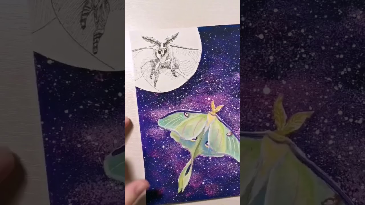 Gouache painting moths | luna moth | Sketchbook spread idea