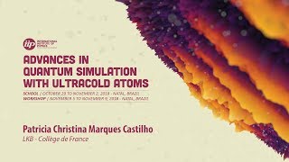 Dynamics of pattern formation in immiscible uniform 2D Bose gases -  Patricia C. M. Castilho