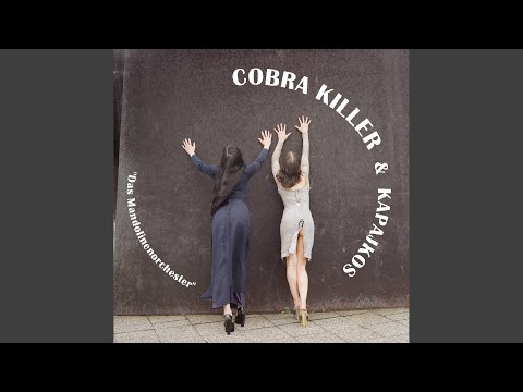 Cobra Killer — Ist Es Farbig? (Mandolinenorchester)
