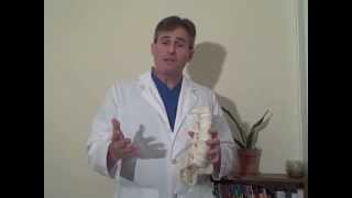 Deciding on Spinal Surgery