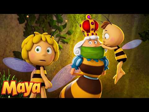 Maia y Willy salvan a la reina 👑🥊 La Abeja Maya 🐝 Vídeo | Dibujos animados