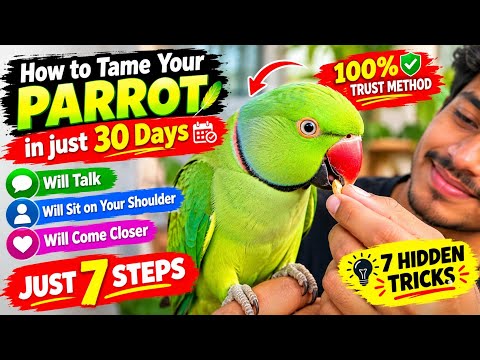 How to Tame Your Parrot 🦜| 7 Secret Tricks🔥Your Bird Come to Your Hand & Shoulder😱 | 100% Workable ✅