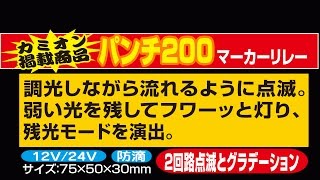 ダイトーオリジナル マーカーリレー］ パンチ200 交互点滅マーカー