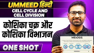 Cell Cycle and Cell Division in One Shot | कोशिका चक्र और कोशिका विभाजन | UMMEED NEET हिंदी