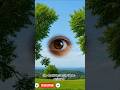 What Happens Inside Your Eye? | Ultra-Realistic 3D Vision Animation Explained