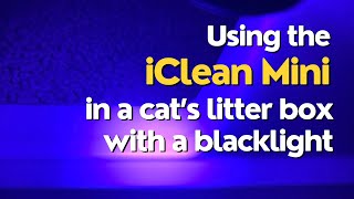 Testing Using the iClean Mini On My Cat's Litter Box While Using a Blacklight by FurLife 23 views 2 weeks ago 2 minutes, 58 seconds