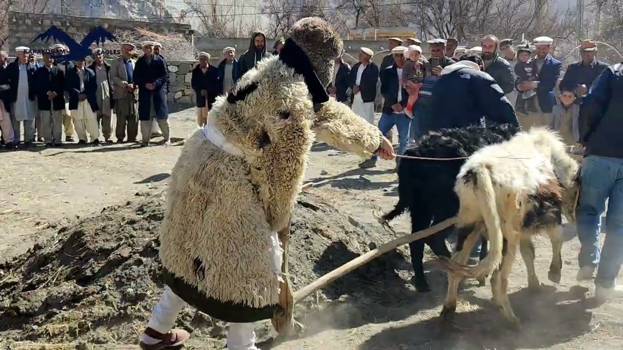 Tagham Festival | Centuries Old Cultural Festival | Wakhi Tajik Community | Upper Hunza Valley |