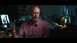 Career Overview What are Cataracts? | Lotus Vision in Alpharetta, Ga.