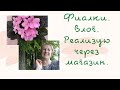 Реализую фиалки через магазин.Прогулка после жары, как мы её пережили.