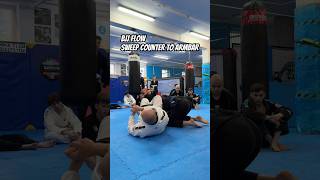 BJJ flow sweep counter to armbar #bjj #jiujitsu #sport #trening