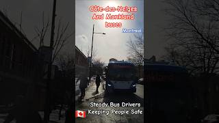 Steady Bus Drivers Keeping People Safe