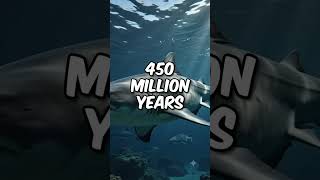 Sharks are older than trees! #facts #interestingfacts #amazingfacts #sciencefacts #shark #trees #old