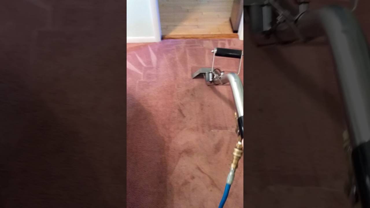 Carpet cleaning Glens Falls New York 5187914567 YouTube