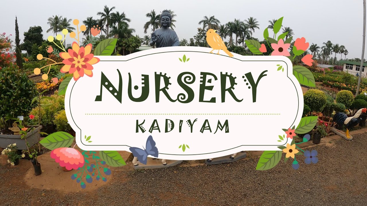 KADIYAM  NURSERY