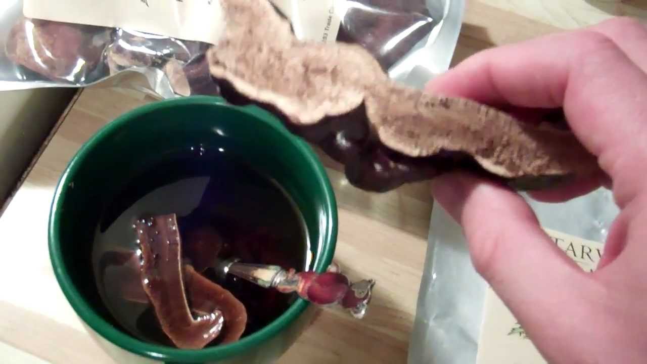 Reishi mushrooms, recipe against seasonal flu. YouTube