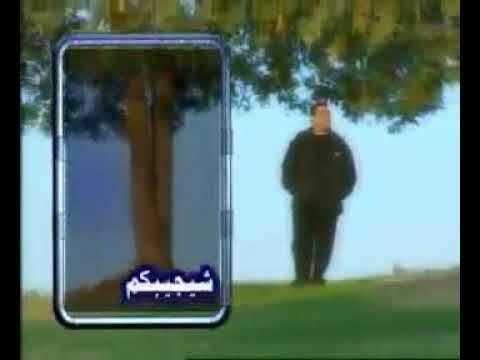 قاسم السلطان شيجيبكم