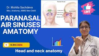 Paranasal Air Sinuses Anatomy | Frontal, Maxillary, Ethmoid &amp; Sphenoid Sinuses