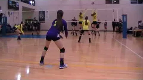 Jeanette McGrath Libero All Players Tournament 201...