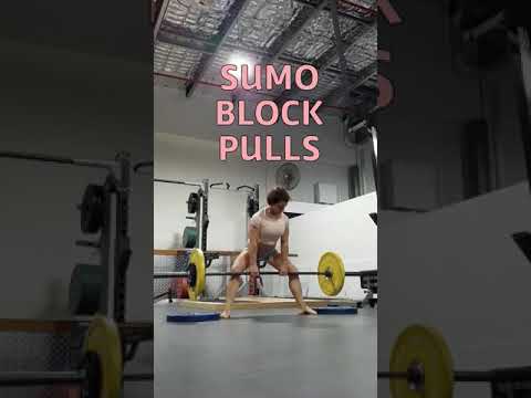 camera iphone 8 plus apk SUMO BLOCK PULLS