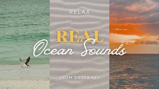 Siesta Key Beach | Real Ocean Sounds | Real Footage