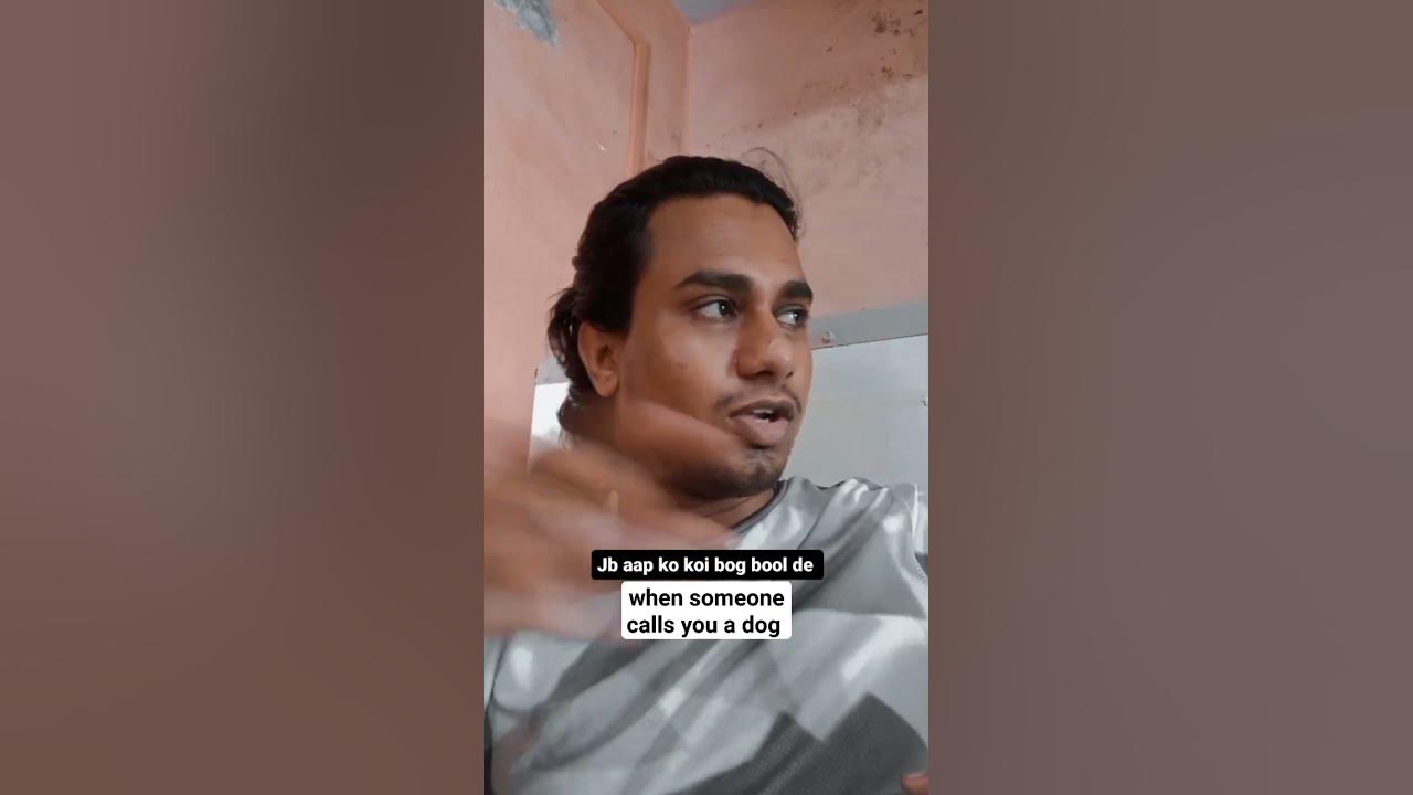 What Does It Mean When Someone Calls You A Dog What Does It Mean When Someone Calls You A Dog