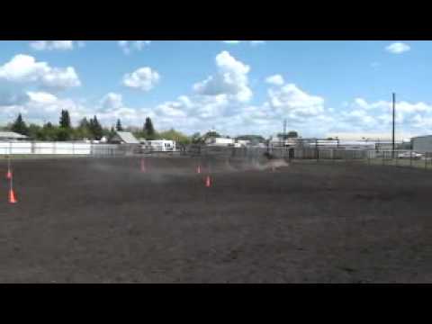Sarah Harbin.wmv