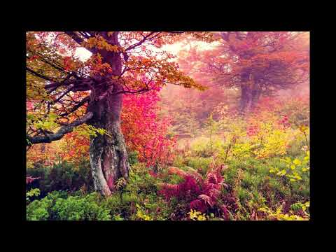 Al Baqarah (Last