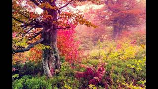 Al Baqarah (Last Two Verses) by Maher Al Mueaqly